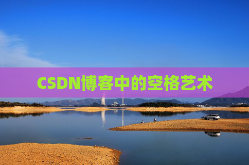 CSDN博客中的空格艺术